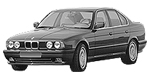 BMW E34 C264D Fault Code